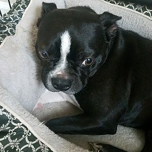 Meet your Posher, Mandy